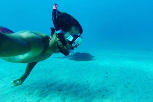 Diving in Fuerteventura